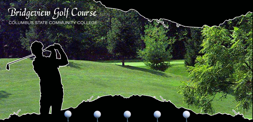 Bridgeview Golf Webpage Layout